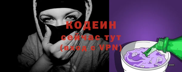 хмурый Абаза