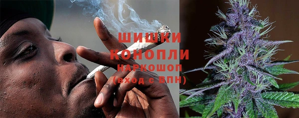 хмурый Абаза